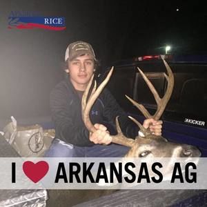 Meet your Posher, Dalton